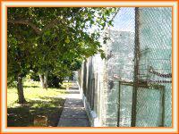El criadero loro park cuenta con un total de 223 jaulones.