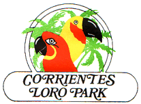 Exportacion de loros y aves criadores de mascotas exoticas.