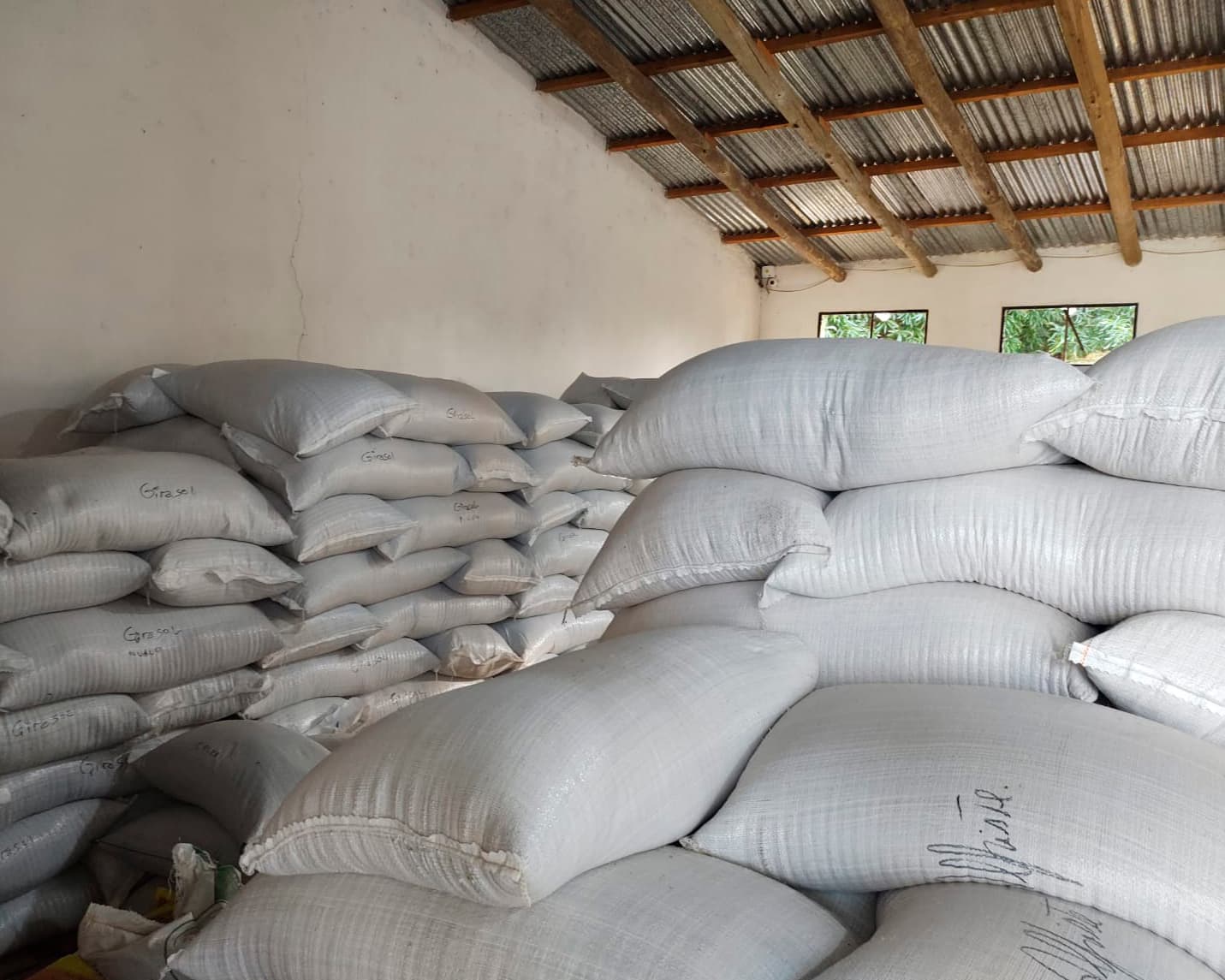 Food Storage - Imagen 1